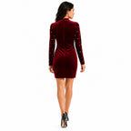 Women's Maroon Embellished Velvet Bodycon Mini Dress | High Neck Party Wear Dress