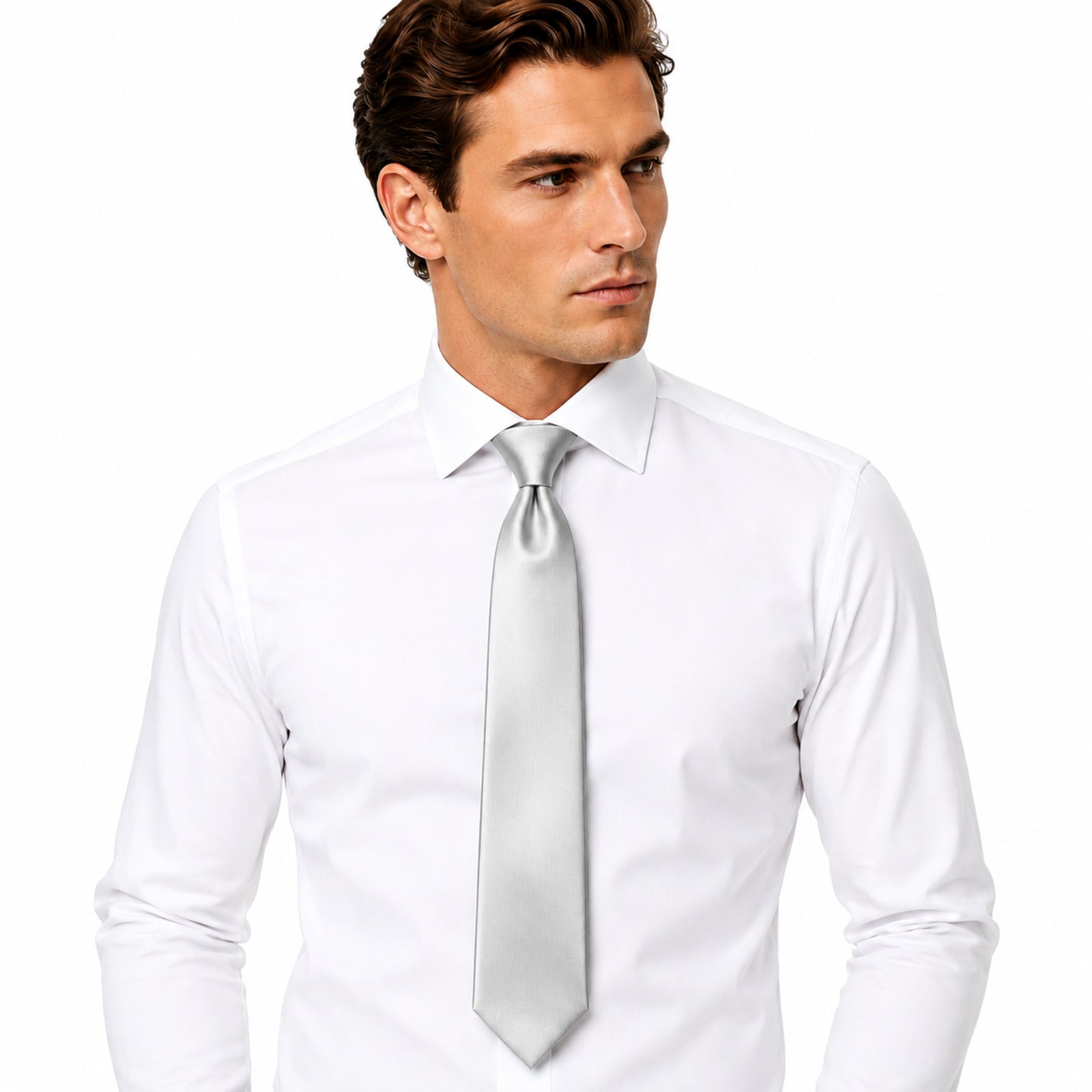 Elegant Silver Tie