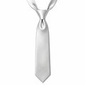 Elegant Silver Tie