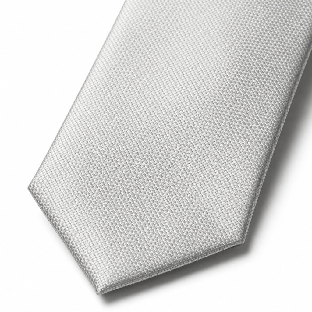 Elegant Silver Tie