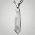 Timeless Silver Tie