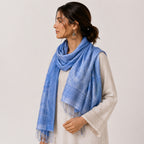 Women's Sky Blue Woven Pashmina Shawl-1