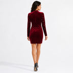Women's Maroon Embellished Velvet Bodycon Mini Dress | High Neck Party Wear Dress-4